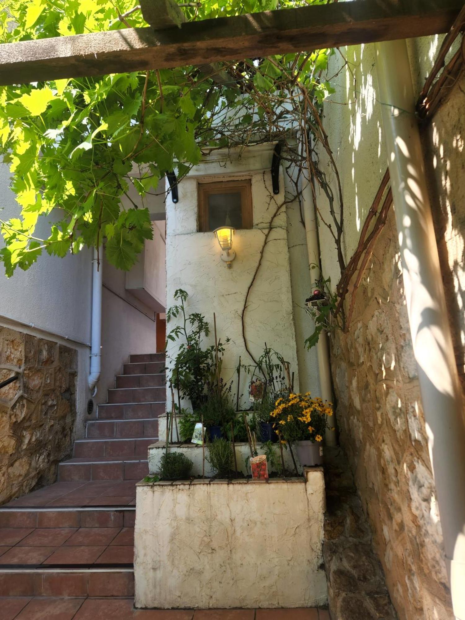 Bel appartement avec jardin privatif Grasse Extérieur photo