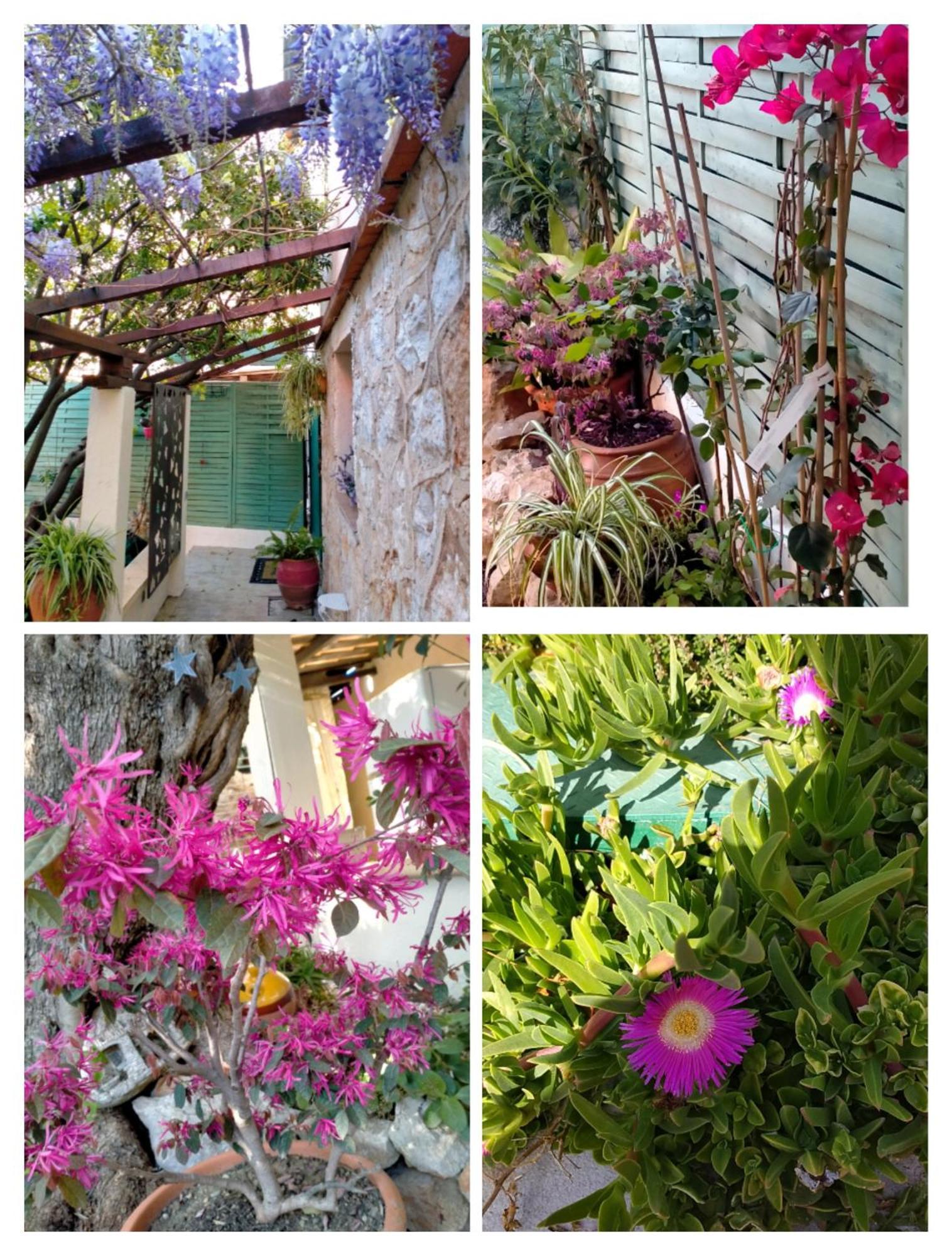 Bel appartement avec jardin privatif Grasse Extérieur photo