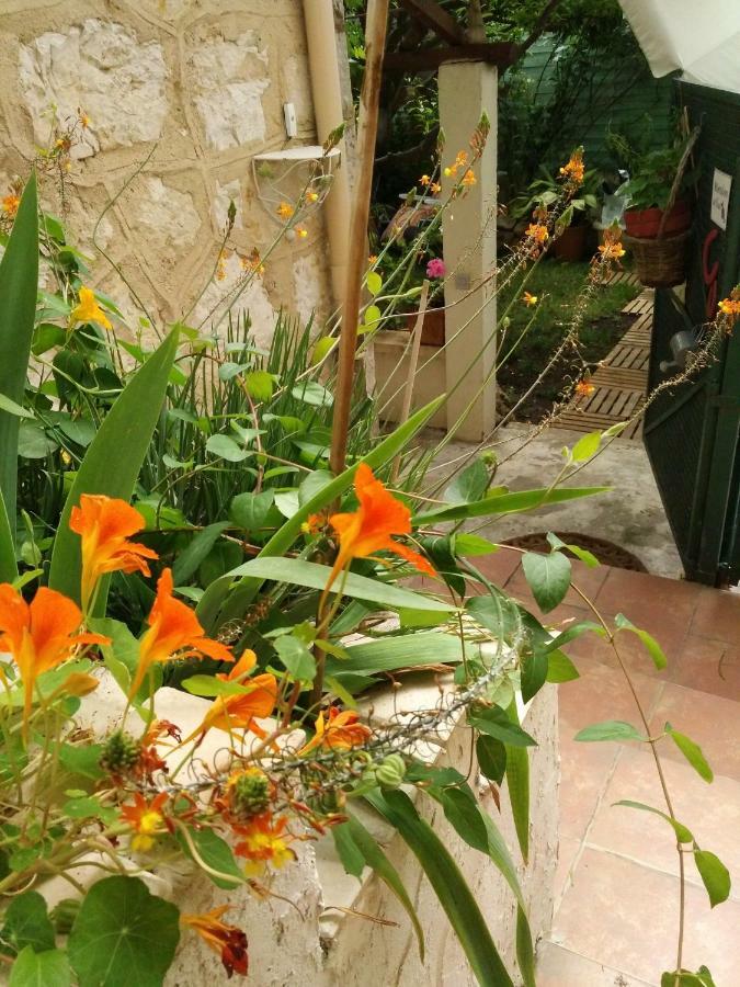 Bel appartement avec jardin privatif Grasse Extérieur photo